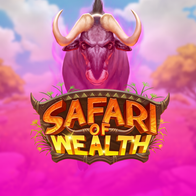 Safari of Wealth